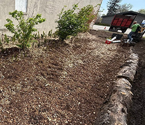 Landscaping design in Roland